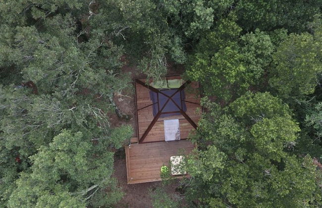 Le Mas Cabanids - Foto 19