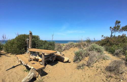 Huge Holiday Home in Marina di Castagneto Carducci near Sea - Foto 97