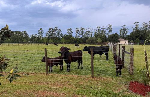 BlockHaven near Legoland, Disney - Foto 50