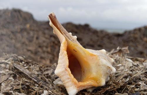 Frosos Beachfront Maisonette Acharavi - Foto 28