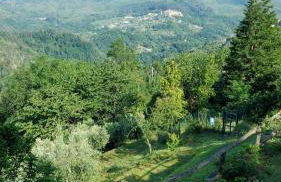 All ' ombra del lauro - Foto 24