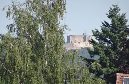 Phönix aus der Asche - Foto 34