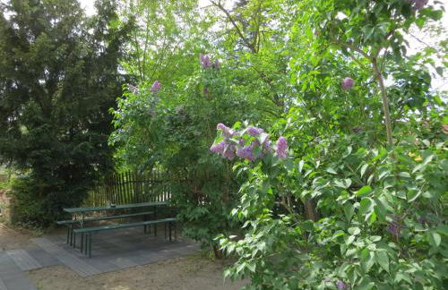 Fischerhaus am See - Photo 35