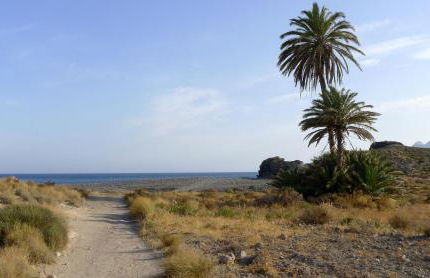 La Posidonia - Foto 61