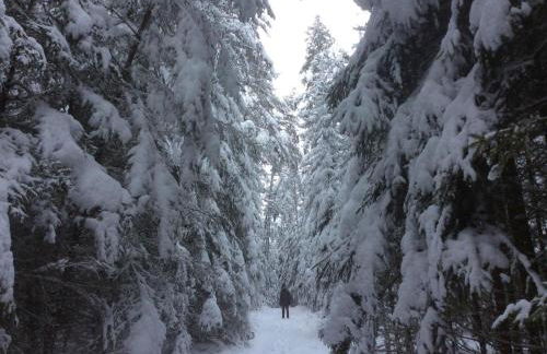 Holiday Home Finnisches Holzhaus by Interhome - Foto 42