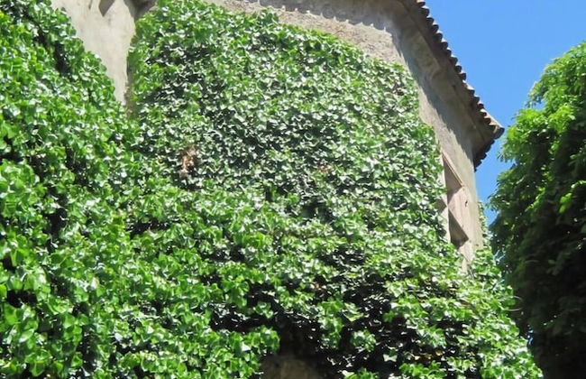 Majestic Apartment in Meran - Foto 11