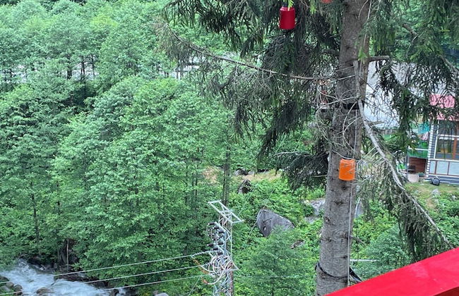 Ayder Guven Dag Evi - Foto 38