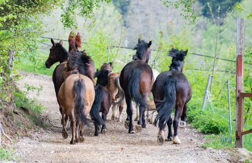 Gut Tausendbachl - Foto 13