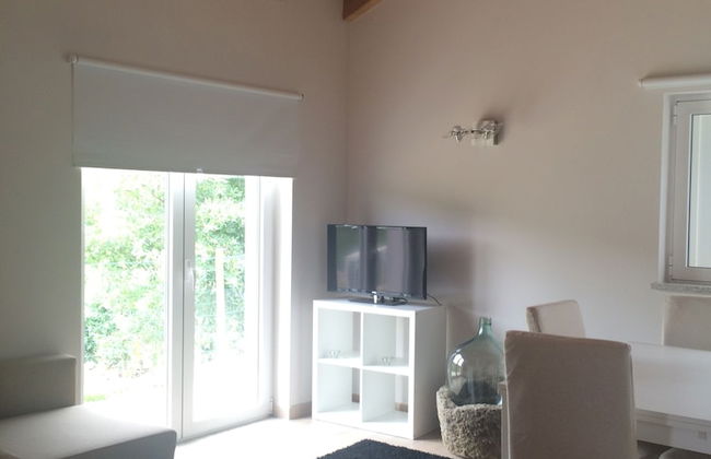 I Love Dão - Casas Da Fraga - Foto 16