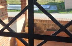 Casa del Maestro - Foto 41