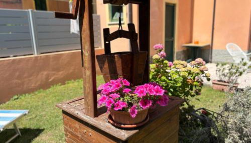 Il giardino fiorito - Foto 5, Garden