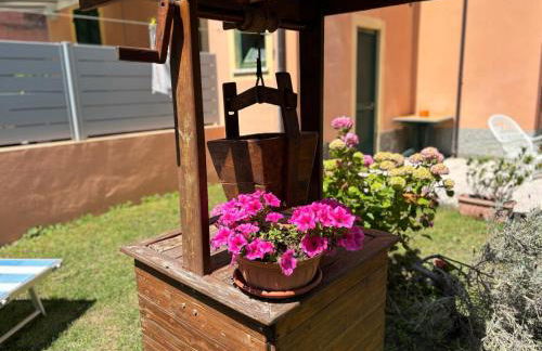 Il giardino fiorito - Foto 5