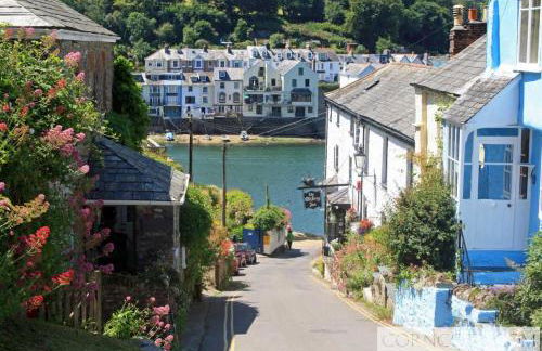 The Moorings just across from Fowey - Foto 13