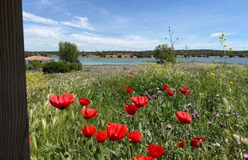 Casa Rural La Higuera - Foto 49