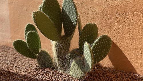 Beautiful 5 * Penthouse very near the beach - Foto 5