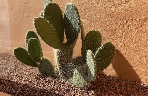 Beautiful 5 * Penthouse very near the beach - Foto 5