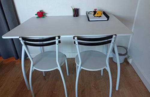 Appartement 2 P 5 PER ENTRE BEAUVAL & CHENONCEAU - Foto 21