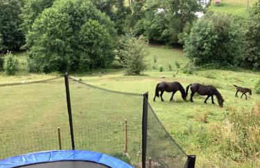 Les Chalets Bambi & Jacuzzi privatif - Foto 14