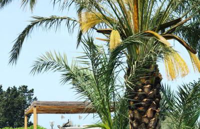 La Casa di Flò Luxury Rooms - Foto 9