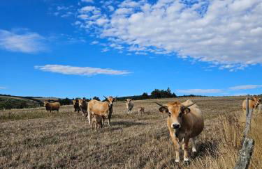 Le Saint-Jean - Foto 28