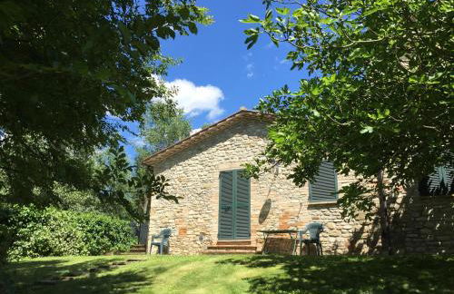 Agricola Caicucci - Foto 66