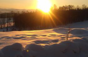 Widokowa Osada - Foto 21