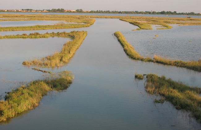 Agriturismo La Barena - Foto 65