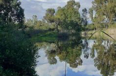 Domo in Pianos - Foto 2