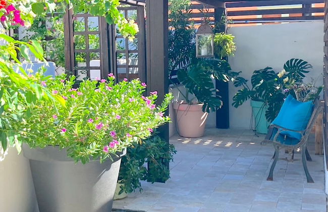 Aruba Lagunita - Foto 3