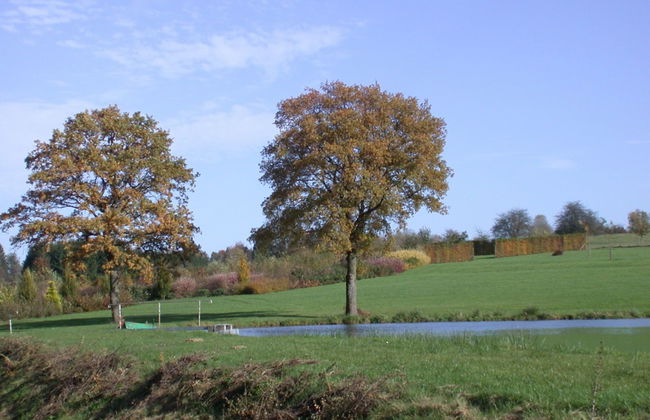 Holiday Home in Florenville With Garden - Photo 24