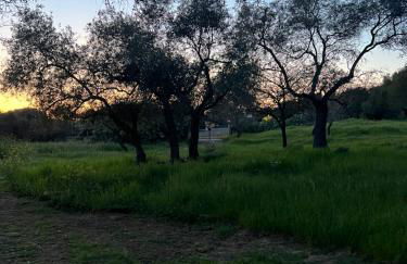 Muristene Pozzo Santa Cristina - Foto 15