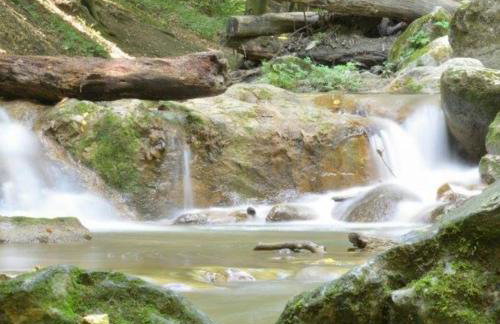 Moselburgblick - Foto 31