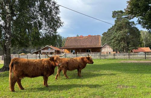 Farma Puchałowo - Foto 10