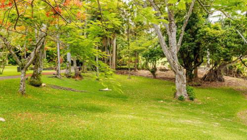 Oceanfront Treehouse at Hakalau with Kitchen - Foto 5
