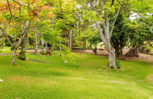 Oceanfront Treehouse at Hakalau with Kitchen - Foto 5