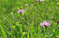 Domek pod Skiełkiem - Photo 71