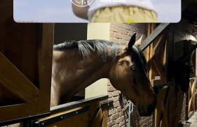 Villa Nicoletta - Foto 31