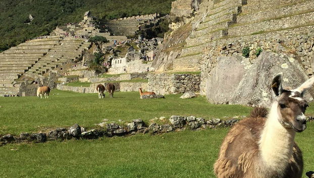 Detalle del Machu Picchu