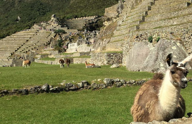 2-Day Trek to Machu Picchu - Foto 7