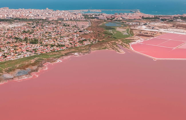 Visita guiada pelas salinas de Torrevieja - Foto 1