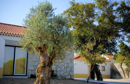 Casa das Rendufas- Turismo Rural com Figos - Foto 61