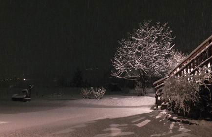 Mini Maule - Foto 15