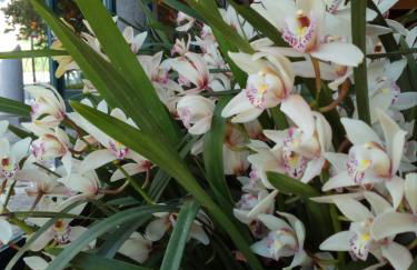 LAVANDA appartamento - Foto 12