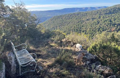 Masiadenjust - Foto 75