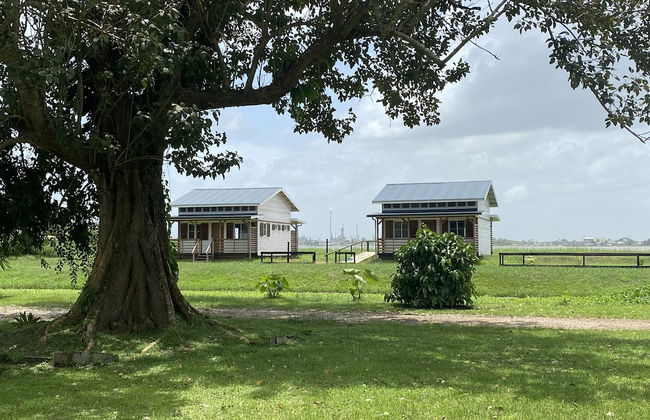 Koffiemama Tree B&B - Photo 22