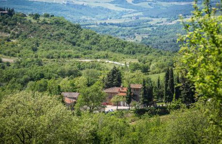 Le Cetinelle B&B - Foto 56