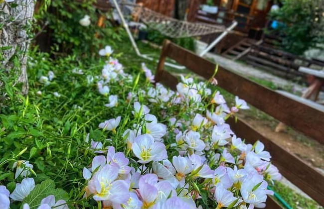 Zeytindagi Bungalow - Foto 56