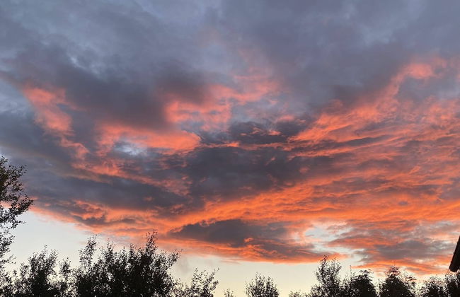 Álftártunga farm guesthouse - Foto 77