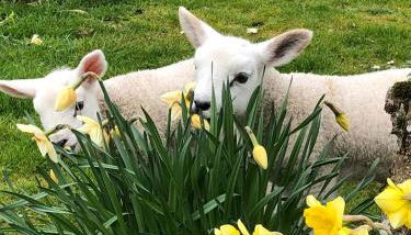 The Studio at Pitmeadow Farm - Foto 3