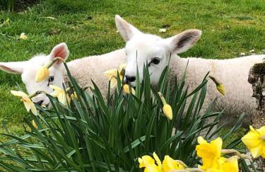 The Studio at Pitmeadow Farm - Photo 3